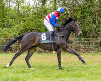 Race 2 - Conditions 2 miles 4 Furlongs (9 of 112)