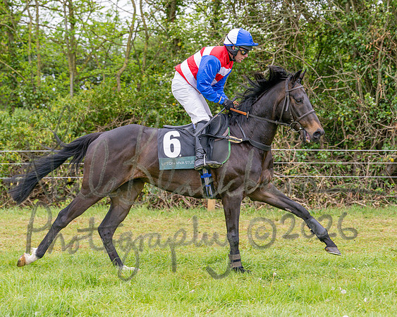 Race 2 - Conditions 2 miles 4 Furlongs (9 of 112)