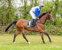 Race 2 - Conditions 2 miles 4 Furlongs (10 of 112)