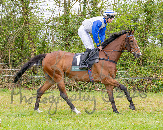 Race 2 - Conditions 2 miles 4 Furlongs (10 of 112)