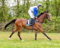Race 2 - Conditions 2 miles 4 Furlongs (11 of 112)