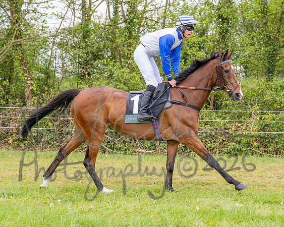 Race 2 - Conditions 2 miles 4 Furlongs (11 of 112)