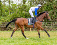 Race 2 - Conditions 2 miles 4 Furlongs (12 of 112)