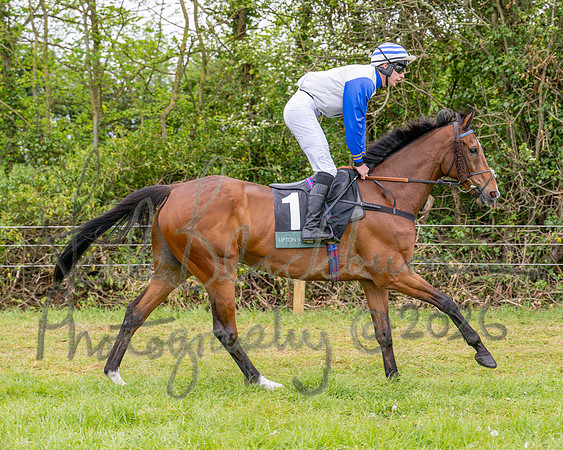 Race 2 - Conditions 2 miles 4 Furlongs (12 of 112)