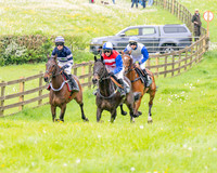 Race 2 - Conditions 2 miles 4 Furlongs (14 of 112)