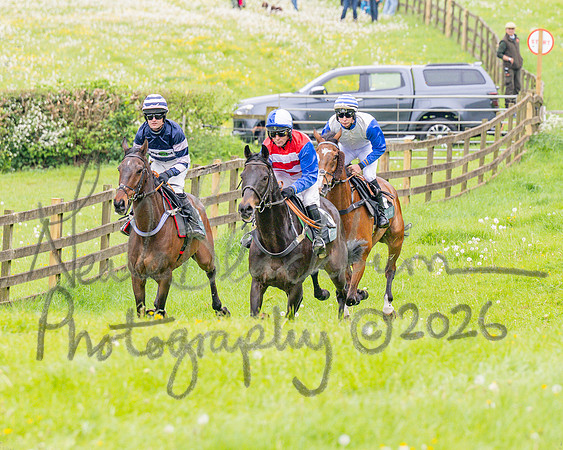 Race 2 - Conditions 2 miles 4 Furlongs (14 of 112)