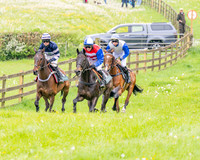 Race 2 - Conditions 2 miles 4 Furlongs (15 of 112)