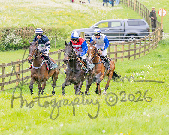 Race 2 - Conditions 2 miles 4 Furlongs (15 of 112)