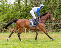Race 2 - Conditions 2 miles 4 Furlongs (13 of 112)