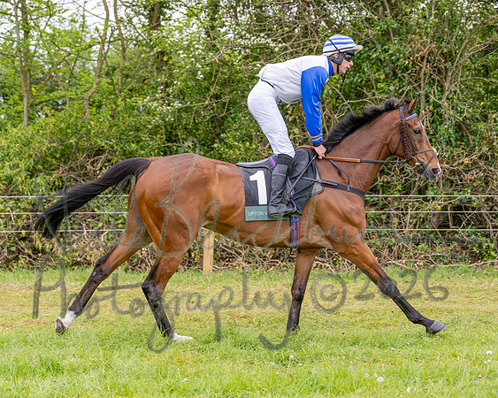 Race 2 - Conditions 2 miles 4 Furlongs (13 of 112)