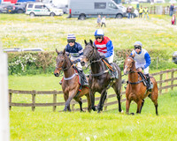 Race 2 - Conditions 2 miles 4 Furlongs (16 of 112)