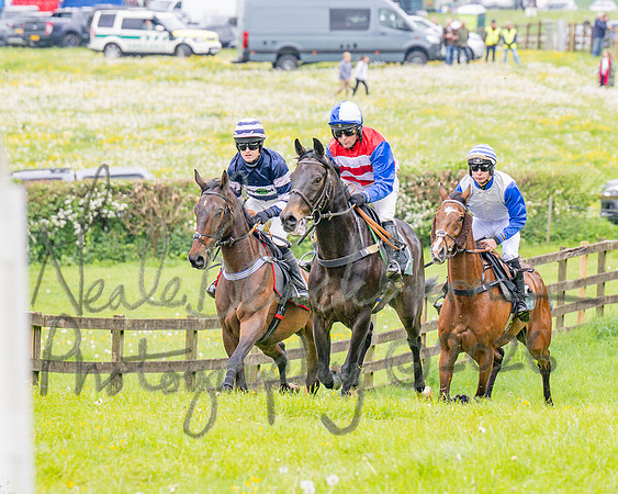 Race 2 - Conditions 2 miles 4 Furlongs (16 of 112)