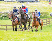 Race 2 - Conditions 2 miles 4 Furlongs (17 of 112)