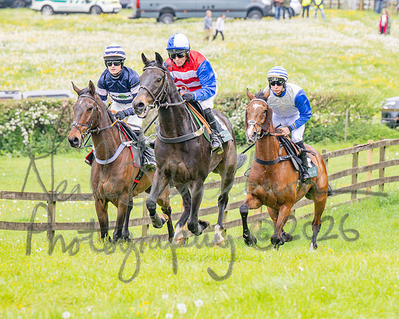 Race 2 - Conditions 2 miles 4 Furlongs (17 of 112)