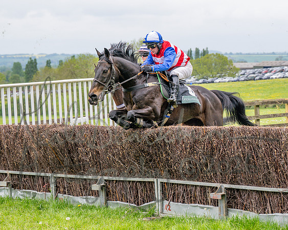 Race 2 - Conditions 2 miles 4 Furlongs (18 of 112)