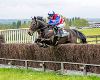 Race 2 - Conditions 2 miles 4 Furlongs (19 of 112)