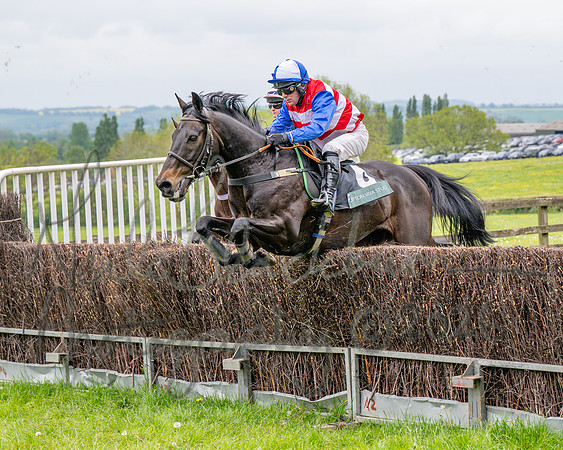 Race 2 - Conditions 2 miles 4 Furlongs (19 of 112)
