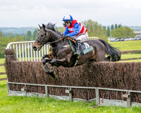 Race 2 - Conditions 2 miles 4 Furlongs (20 of 112)