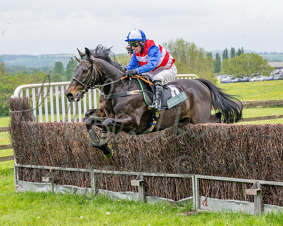 Race 2 - Conditions 2 miles 4 Furlongs (20 of 112)