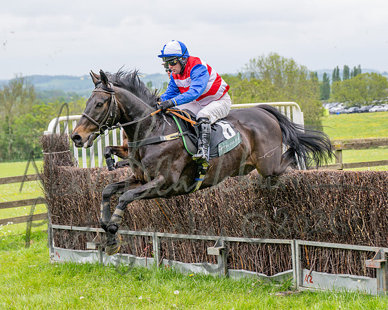 Race 2 - Conditions 2 miles 4 Furlongs (21 of 112)