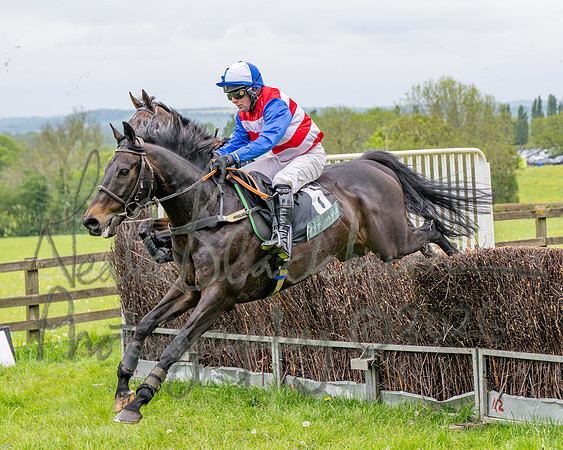 Race 2 - Conditions 2 miles 4 Furlongs (22 of 112)