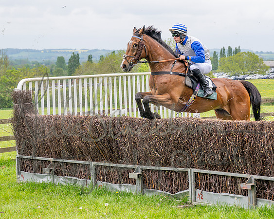 Race 2 - Conditions 2 miles 4 Furlongs (24 of 112)