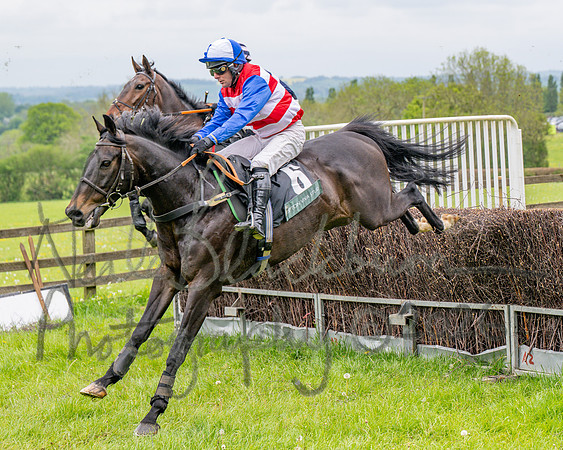 Race 2 - Conditions 2 miles 4 Furlongs (23 of 112)