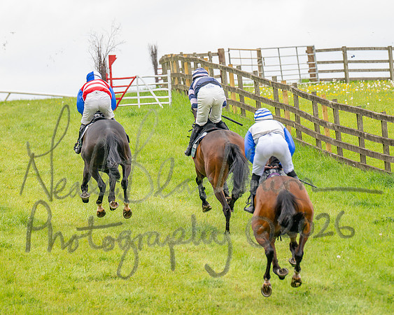 Race 2 - Conditions 2 miles 4 Furlongs (30 of 112)