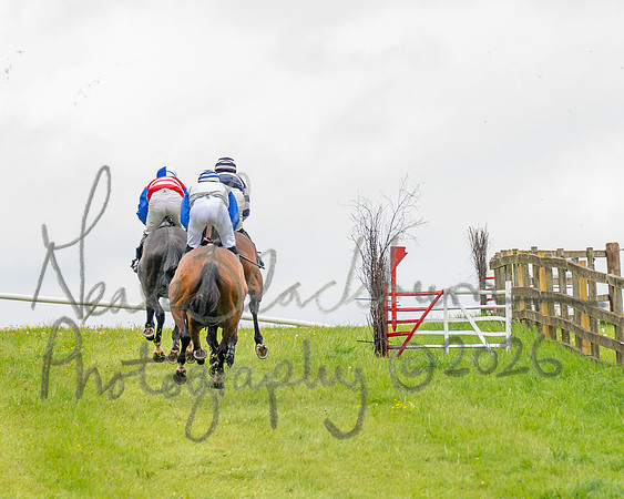 Race 2 - Conditions 2 miles 4 Furlongs (31 of 112)