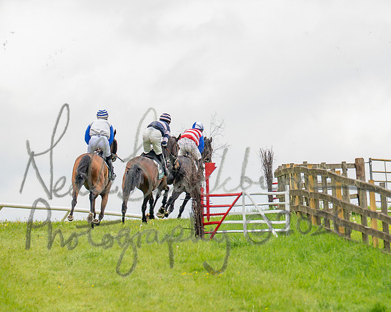 Race 2 - Conditions 2 miles 4 Furlongs (32 of 112)