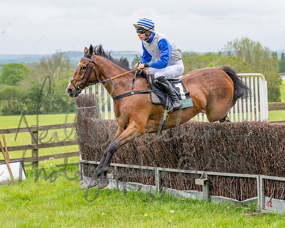 Race 2 - Conditions 2 miles 4 Furlongs (28 of 112)