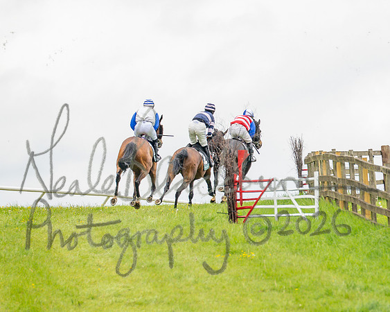 Race 2 - Conditions 2 miles 4 Furlongs (33 of 112)
