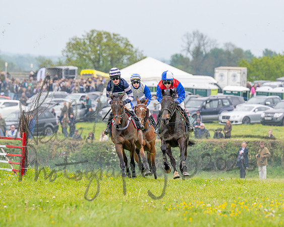 Race 2 - Conditions 2 miles 4 Furlongs (34 of 112)