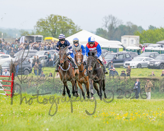 Race 2 - Conditions 2 miles 4 Furlongs (35 of 112)