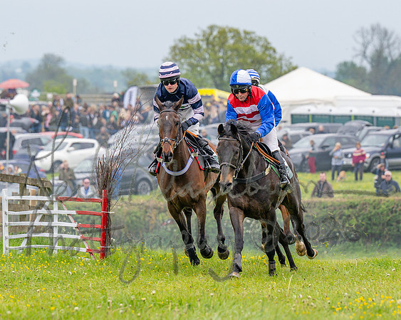 Race 2 - Conditions 2 miles 4 Furlongs (39 of 112)