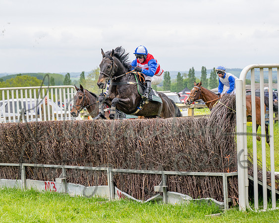 Race 2 - Conditions 2 miles 4 Furlongs (40 of 112)