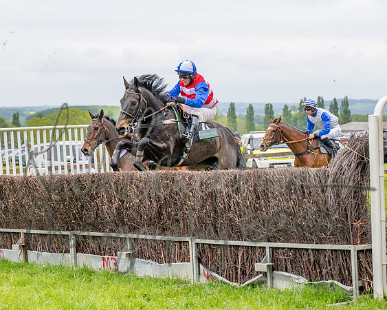 Race 2 - Conditions 2 miles 4 Furlongs (42 of 112)