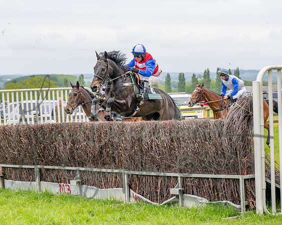 Race 2 - Conditions 2 miles 4 Furlongs (41 of 112)