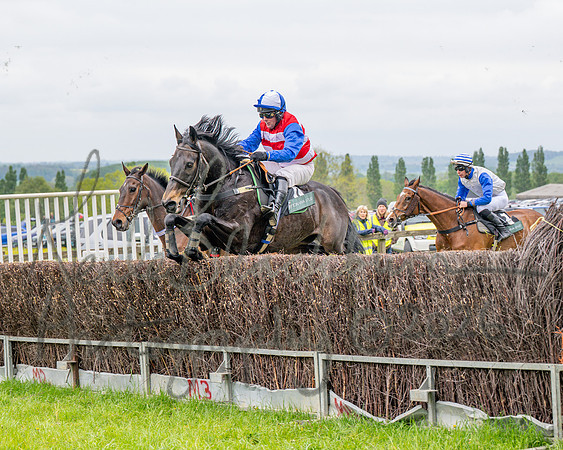 Race 2 - Conditions 2 miles 4 Furlongs (43 of 112)