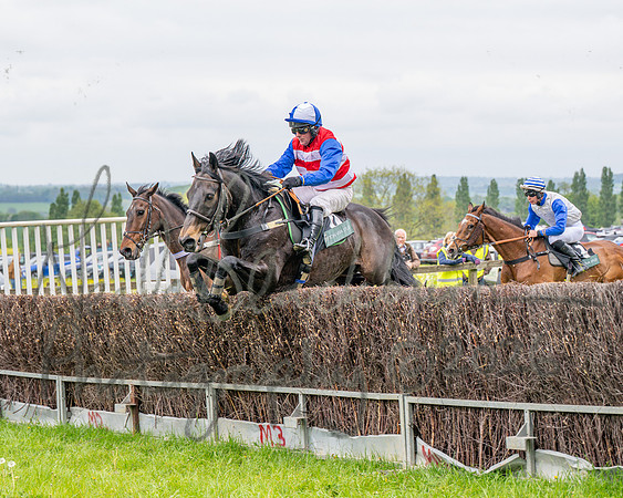 Race 2 - Conditions 2 miles 4 Furlongs (44 of 112)