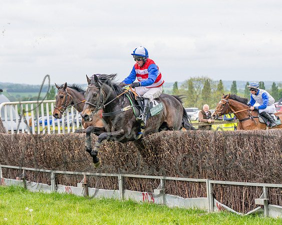 Race 2 - Conditions 2 miles 4 Furlongs (45 of 112)