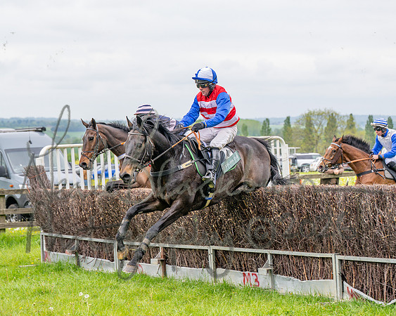 Race 2 - Conditions 2 miles 4 Furlongs (46 of 112)