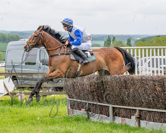 Race 2 - Conditions 2 miles 4 Furlongs (49 of 112)