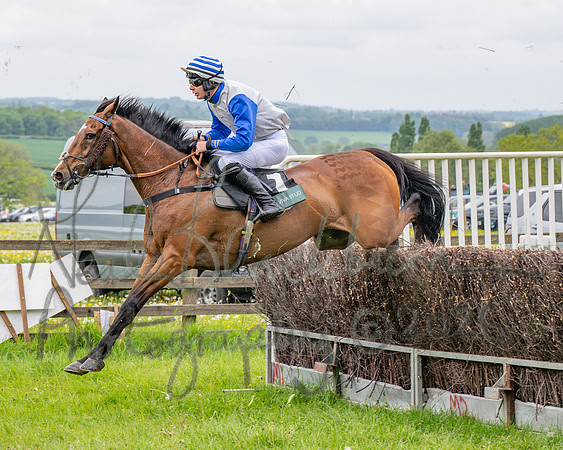 Race 2 - Conditions 2 miles 4 Furlongs (50 of 112)