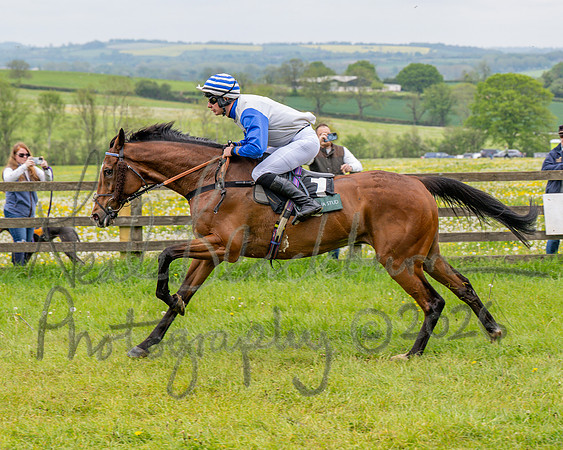 Race 2 - Conditions 2 miles 4 Furlongs (52 of 112)