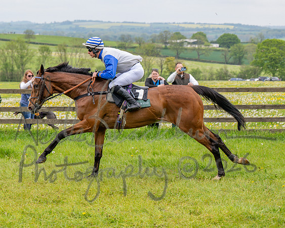 Race 2 - Conditions 2 miles 4 Furlongs (53 of 112)