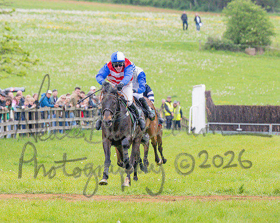 Race 2 - Conditions 2 miles 4 Furlongs (54 of 112)
