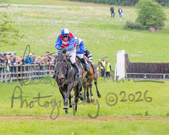Race 2 - Conditions 2 miles 4 Furlongs (55 of 112)