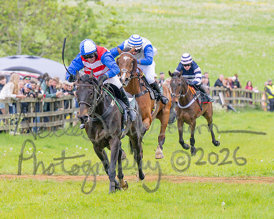 Race 2 - Conditions 2 miles 4 Furlongs (56 of 112)