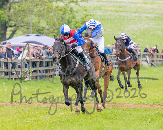 Race 2 - Conditions 2 miles 4 Furlongs (57 of 112)